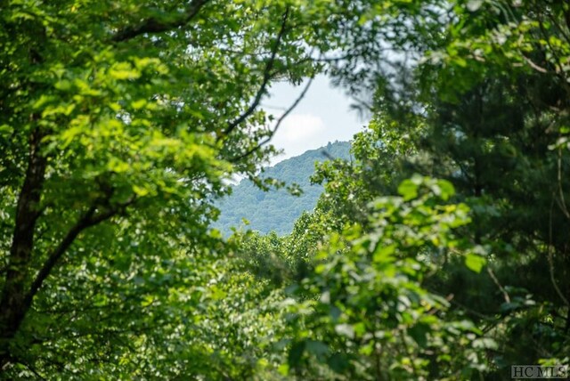 view of mountain feature