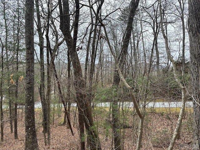 Listing photo 3 for LOT35 Buckberry Dr N, Sapphire NC 28774