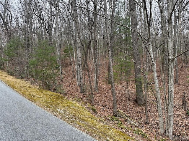 Listing photo 2 for LOT35 Buckberry Dr N, Sapphire NC 28774