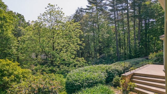 54 Deer Run, Highlands, NC 28741 - photo 56