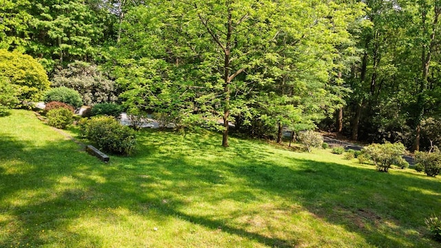 54 Deer Run, Highlands, NC 28741 - photo 55
