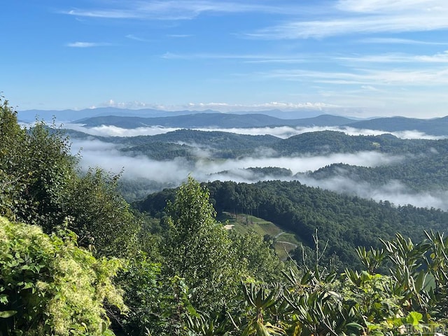 property view of mountains