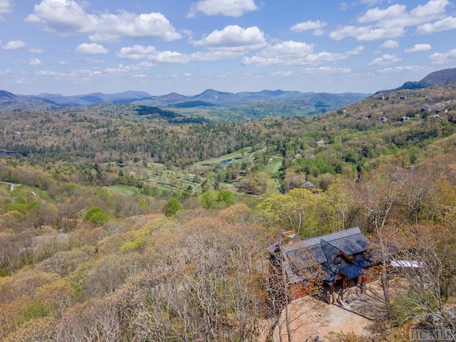 view of mountain feature