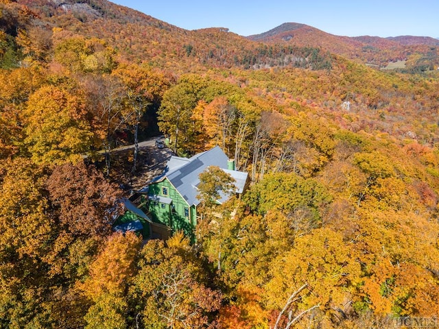 birds eye view of property featuring a mountain view