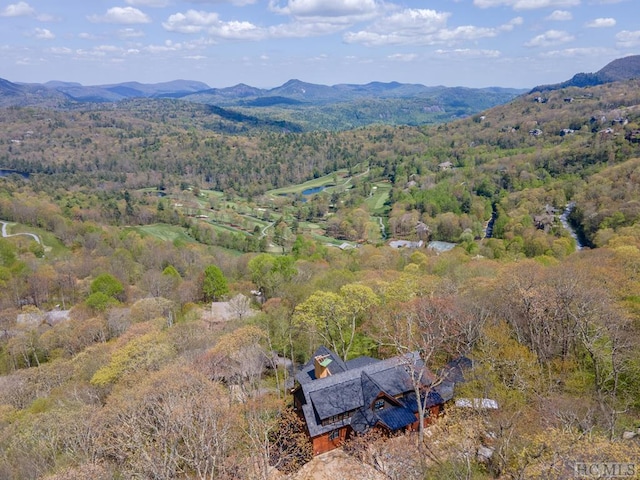 drone / aerial view featuring a mountain view