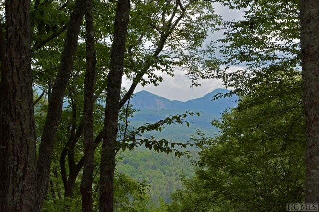 view of mountain feature