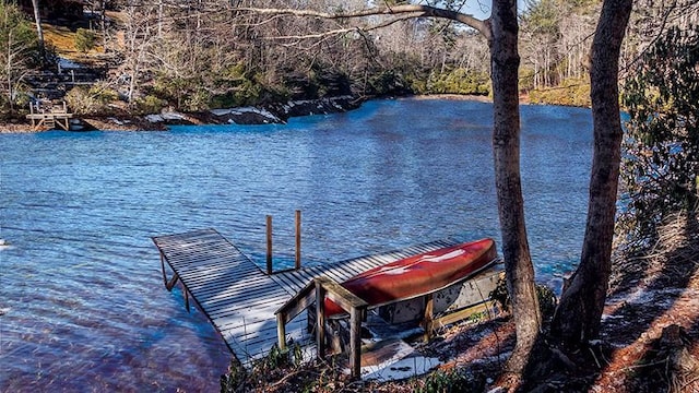 dock area with a water view