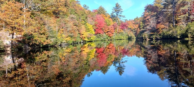 181 Hiwassee Rd, Lake Toxaway, NC 28747 - water view featuring a heavily wooded area