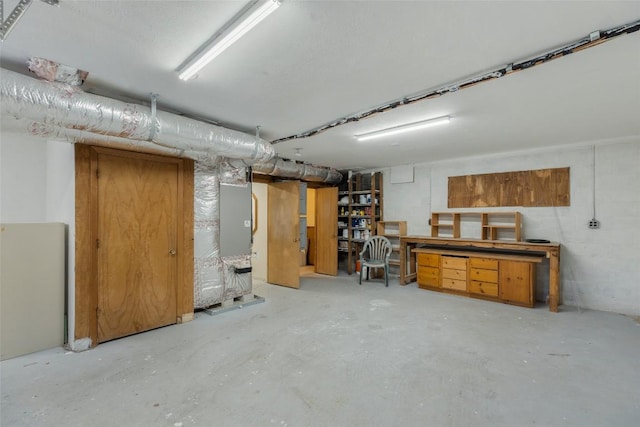 basement with heating unit