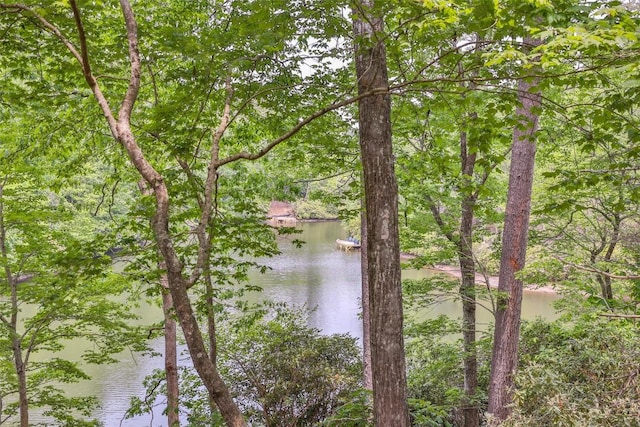 181 Hiwassee Rd, Lake Toxaway, NC 28747 - water view