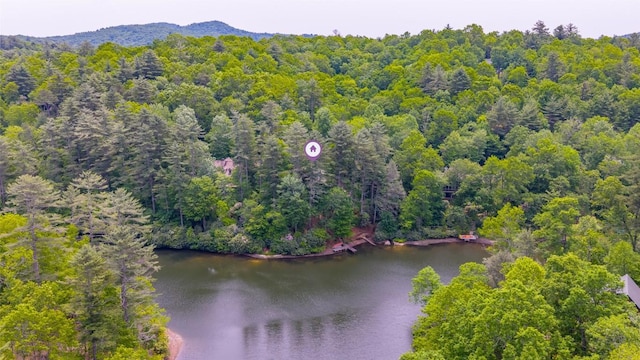 181 Hiwassee Rd, Lake Toxaway, NC 28747 - aerial view of a heavily wooded area