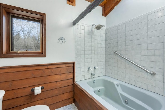 181 Hiwassee Rd, Lake Toxaway, NC 28747 - bathroom with toilet and a combined bath / shower with jetted tub