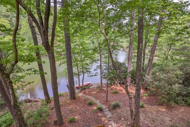 181 Hiwassee Rd, Lake Toxaway, NC 28747 - water view