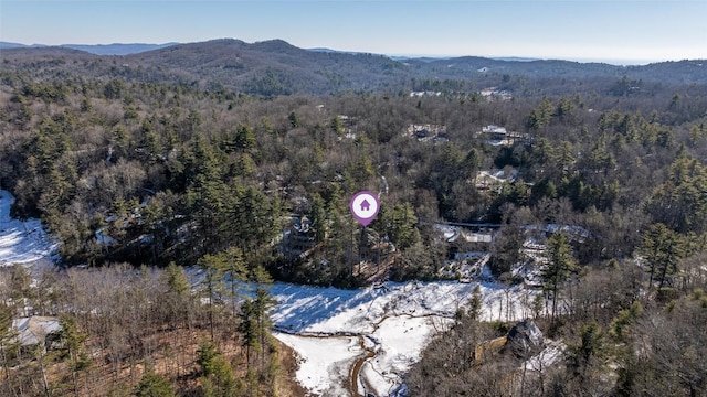 aerial view with a mountain view