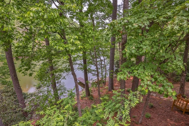 181 Hiwassee Rd, Lake Toxaway, NC 28747 - water view