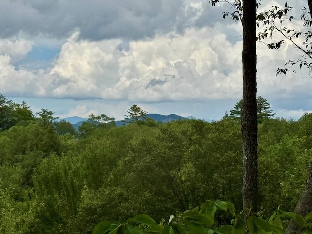 2385 Magnolia Dr, Highlands, NC 28741 - mountain view with a heavily wooded area