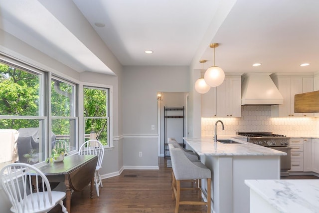 kitchen with custom range hood, a sink, stainless steel range, baseboards, and decorative backsplash