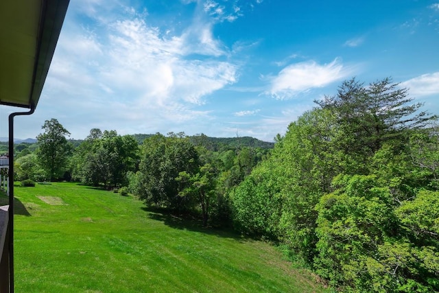 view of green lawn with a forest view