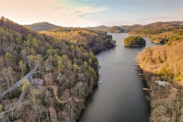 1018N Norton Rd, Cashiers, NC 28717 - bird's eye view with a water and mountain view and a wooded view