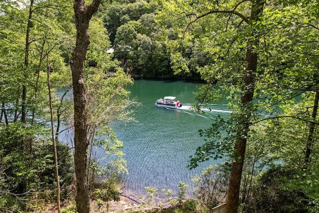 1018N Norton Rd, Cashiers, NC 28717 - water view with a forest