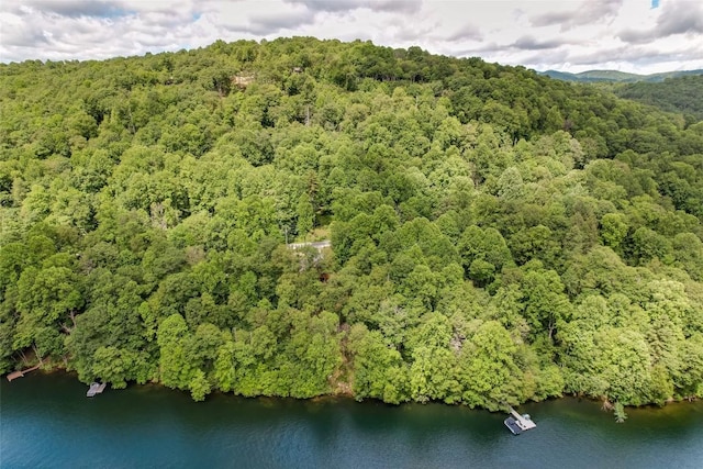 1018N Norton Rd, Cashiers, NC 28717 - drone / aerial view of a heavily wooded area and a nearby body of water