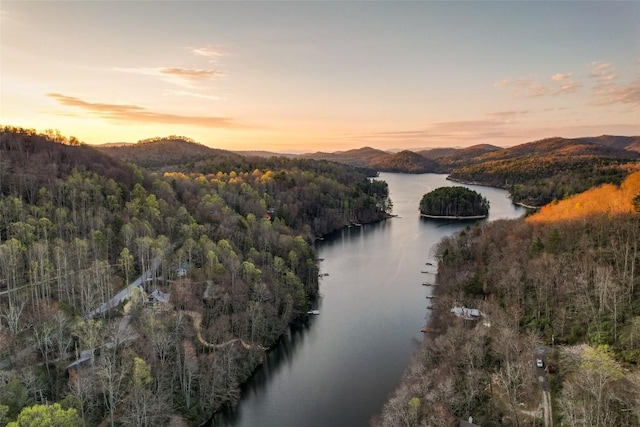 1018N Norton Rd, Cashiers, NC 28717 - drone / aerial view with a view of trees and a water and mountain view