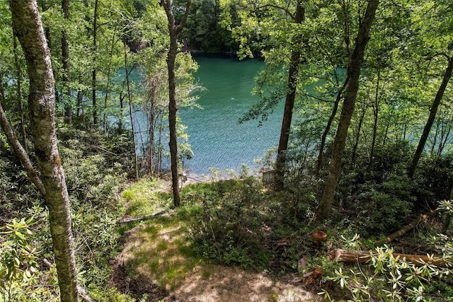 1018N Norton Rd, Cashiers, NC 28717 - water view with a heavily wooded area