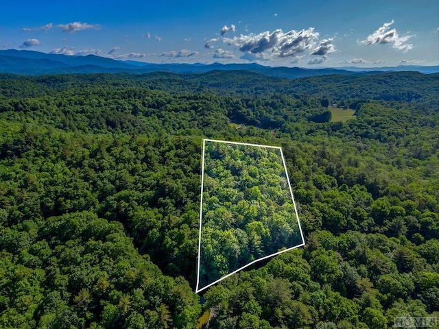 TBD Hawk Mountain Rd, Lake Toxaway NC, 28747 land for sale