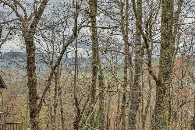 77 Valley View Trl, Glenville, NC 28736 - photo 2