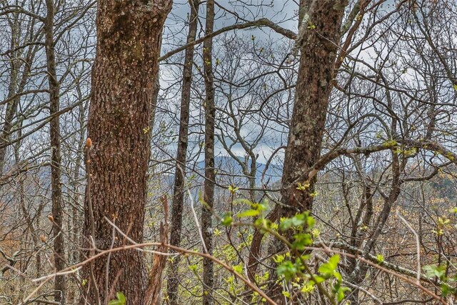 77 Valley View Trl, Glenville, NC 28736 - photo 5