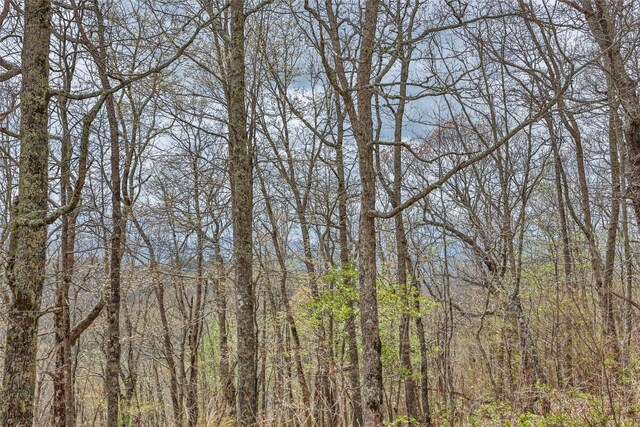 77 Valley View Trl, Glenville, NC 28736 - photo 10