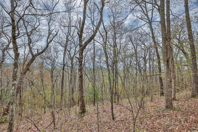77 Valley View Trl, Glenville, NC 28736 - photo 8