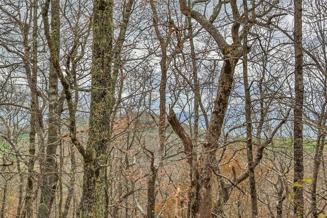 77 Valley View Trl, Glenville, NC 28736 - photo 3