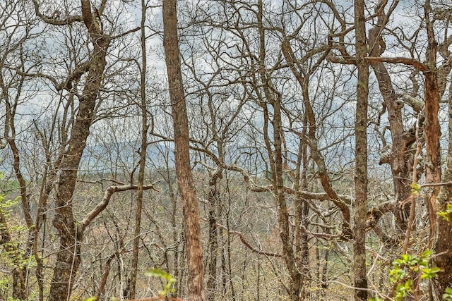 77 Valley View Trl, Glenville, NC 28736 - photo 4