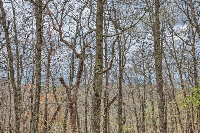 77 Valley View Trl, Glenville, NC 28736 - photo 11