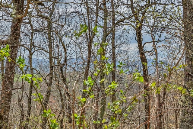 77 Valley View Trl, Glenville, NC 28736 - photo 14