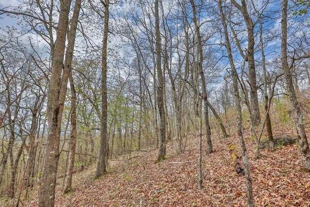 77 Valley View Trl, Glenville, NC 28736 - photo 9