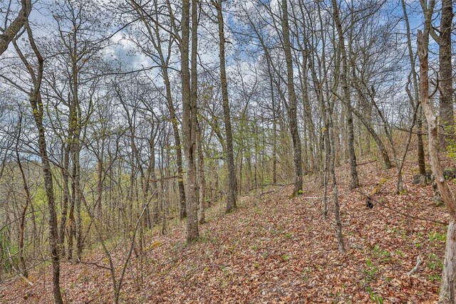77 Valley View Trl, Glenville, NC 28736 - photo 7