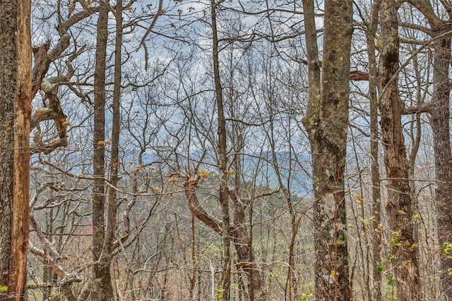 77 Valley View Trl, Glenville, NC 28736 - photo 13
