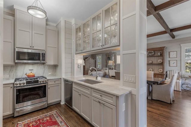 kitchen featuring appliances with stainless steel finishes, dark hardwood / wood-style floors, sink, and a wealth of natural light