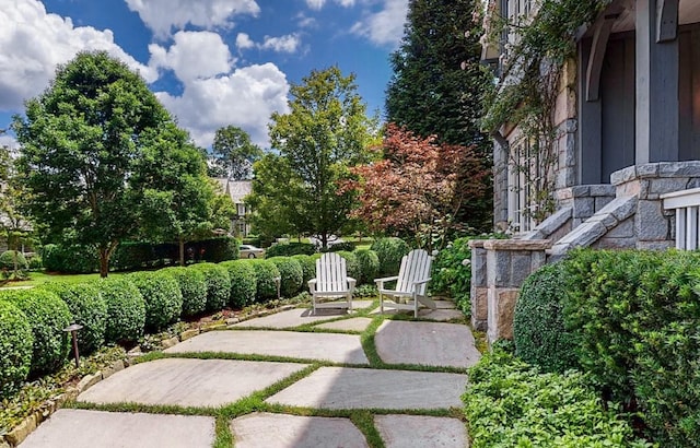 view of yard featuring a patio area