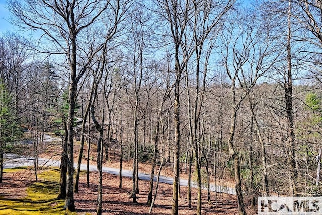 view of landscape