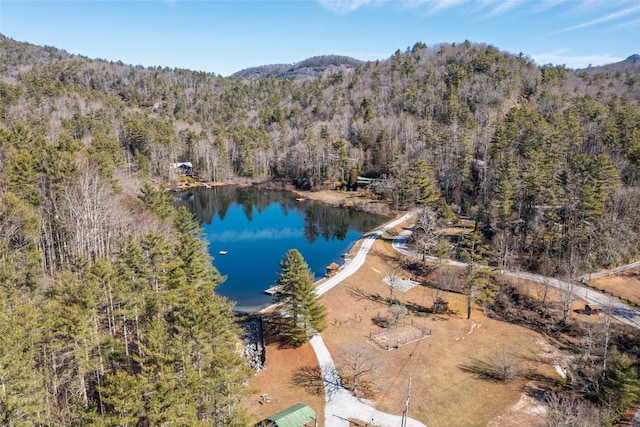drone / aerial view featuring a view of trees and a water and mountain view