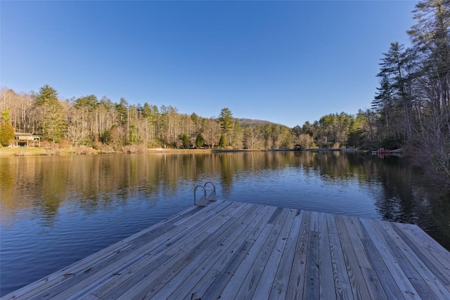 dock area featuring a water view and a wooded view