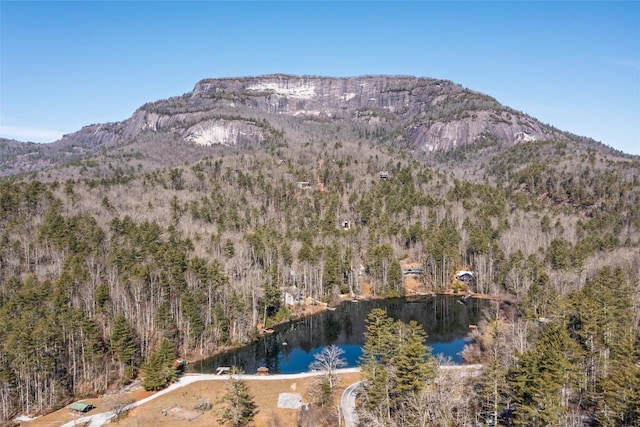 view of mountain feature with a forest view and a water view