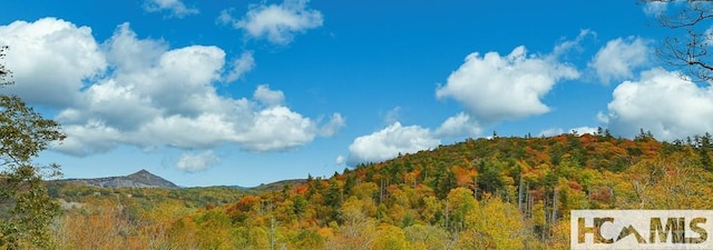 view of mountain background featuring a forest