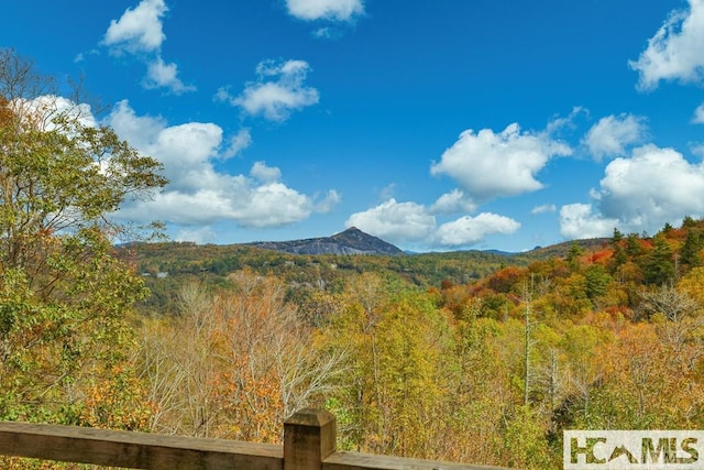 view of mountain backdrop with a forest
