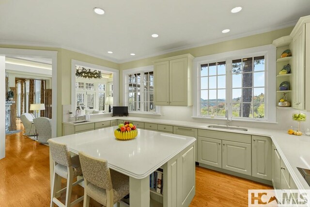 kitchen featuring a sink, light countertops, open shelves, light wood-type flooring, and crown molding