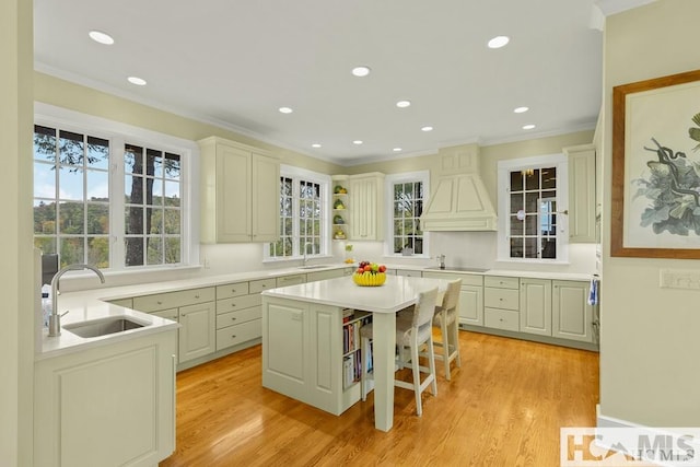 kitchen featuring a sink, custom range hood, open shelves, crown molding, and healthy amount of natural light