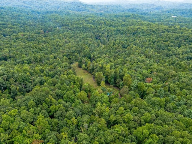 388 Hard To Find Dr, Brevard, NC 28712 - photo 28